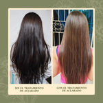 Tratamiento de Aclarado Progresivo ANHELI